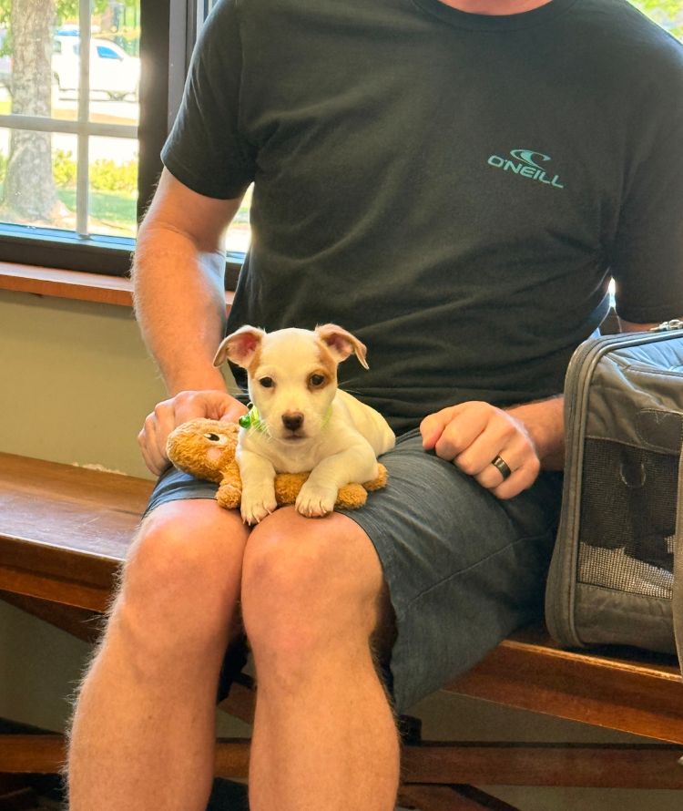A man sits on a bench, gently holding a small dog in his lap