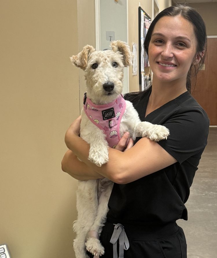 A woman cradles a small white dog in her arms while standing in a hospital setting