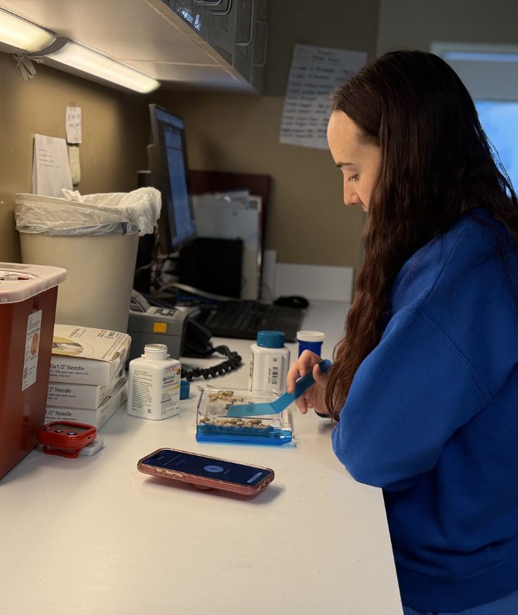 A woman in a blue shirt is focused on her work while using a computer at a desk.