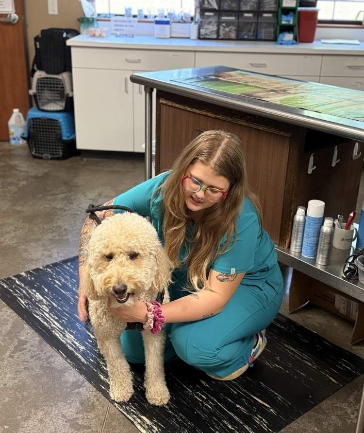 A woman wearing scrubs kneels down to a dog