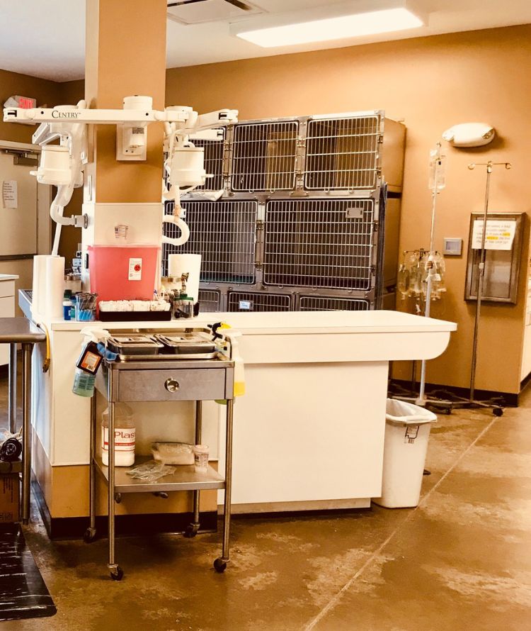 Clinic treatment room